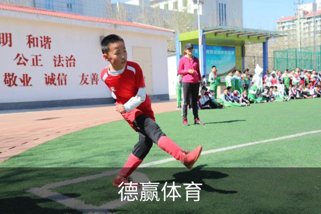 德赢体育公司简介